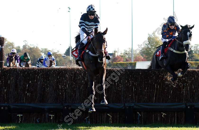 Tikkinthebox-and-East-Indies-0001 
 TIKKINTHEBOX (left, Matt Griffiths) with EAST INDIES (right, Joshua Moore)
Kempton 21 Oct 2018 - Pic Steven Cargill / Racingfotos.com