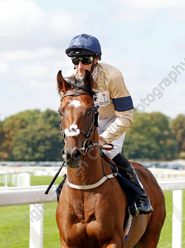 Feel-The-Need 
 FEEL THE NEED (Daniel Tudhope)
York 17 Aug 2022 - Pic Steven Cargill / Racingfotos.com