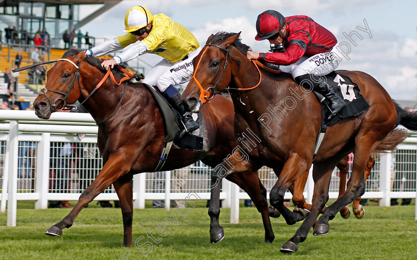 Rogue-0004 
 ROGUE (right, Tom Marquand) beats RED ROMAN (left) in The Dubai Duty Free Nursery Newbury 22 Sep 2017 - Pic Steven Cargill / Racingfotos.com