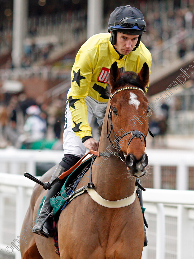 Sheshoon-Sonny-0001 
 SHESHOON SONNY (A P Heskin)
Cheltenham 13 Dec 2019 - Pic Steven Cargill / Racingfotos.com