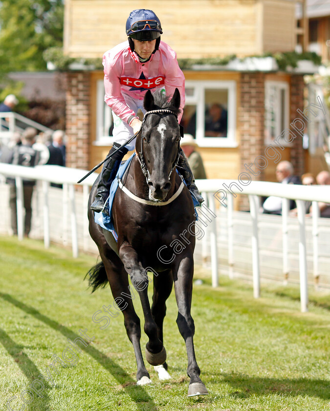 Marie s-Diamond-0002 
 MARIE'S DIAMOND (Jason Hart)
York 10 Jun 2022 - Pic Steven Cargill / Racingfotos.com