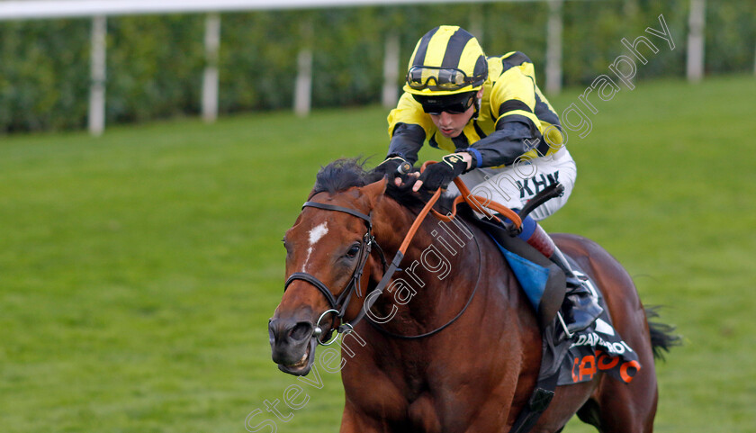 Eldar-Eldarov-0003 
 ELDAR ELDAROV (David Egan) wins The Cazoo St Leger Stakes
Doncaster 11 Sep 2022 - Pic Steven Cargill / Racingfotos.com