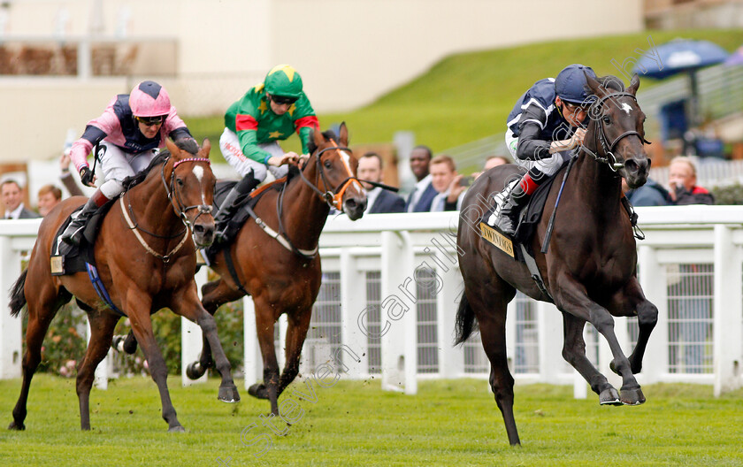 Odyssa-0005 
 ODYSSA (Shane Kelly) beats LAST ENCHANTMENT (left) in The Twinings Novice Auction Stakes Div2 Ascot 8 Sep 2017 - Pic Steven Cargill / Racingfotos.com