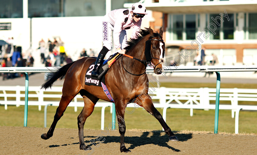 Chiefofchiefs-0002 
 CHIEFOFCHIEFS (David Probert)
Lingfield 23 Feb 2019 - Pic Steven Cargill / Racingfotos.com