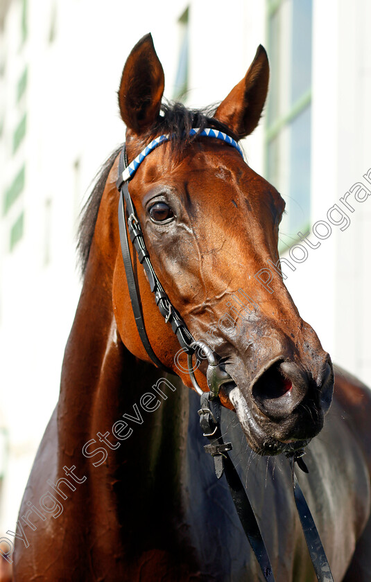 Shaara-0009 
 SHAARA winner of The EBF Stallions John Musker Stakes
Yarmouth 14 Sep 2022 - Pic Steven Cargill / Racingfotos.com