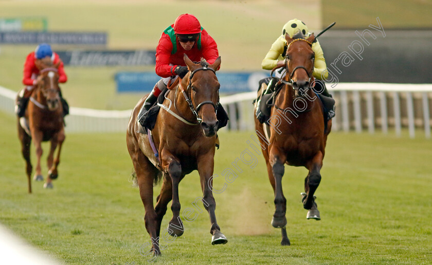 Temporize-0004 
 TEMPORIZE (Franny Norton) beats OPEN CHAMPION (right) in The Bet At Racingtv.com Novice Stakes
Newmarket 22 Jul 2022 - Pic Steven Cargill / Racingfotos.com