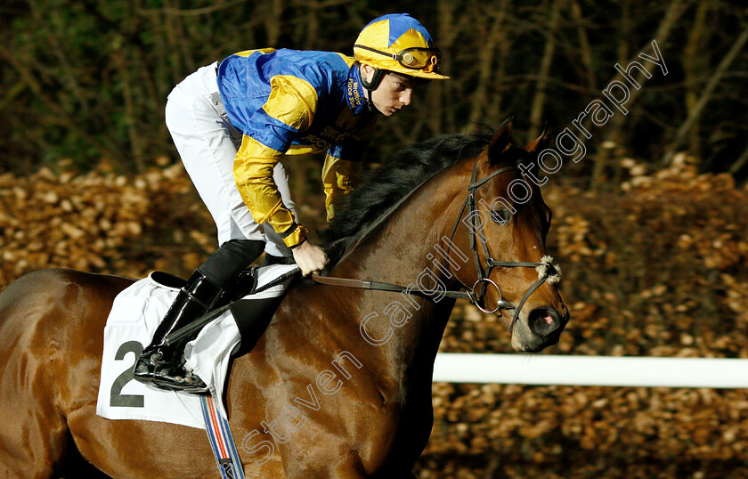 Chairmanoftheboard-0001 
 CHAIRMANOFTHEBOARD (Callum Shepherd)
Kempton 6 Mar 2019 - Pic Steven Cargill / Racingfotos.com