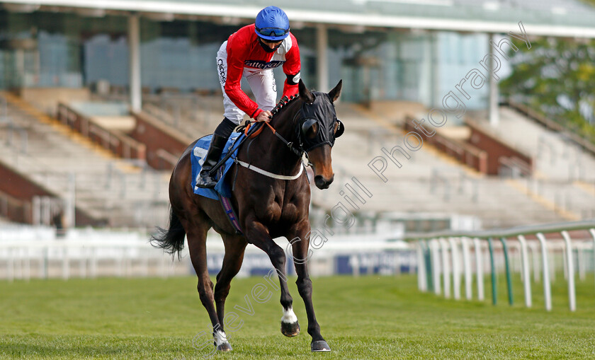 Propriety-0001 
 PROPRIETY (Daniel Tudhope)
York 12 May 2021 - Pic Steven Cargill / Racingfotos.com