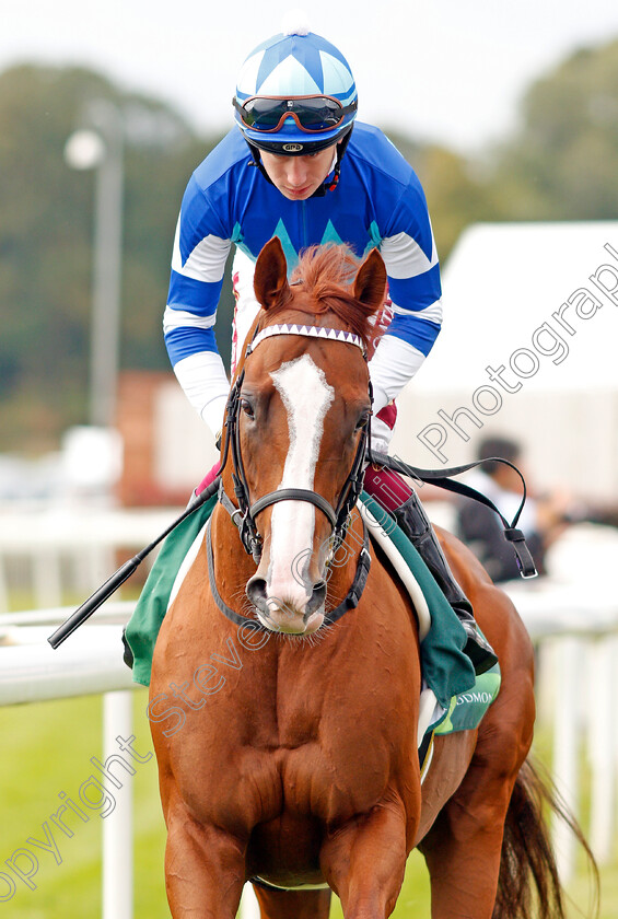 Cheval-Grand-0001 
 CHEVAL GRAND (Oisin Murphy)
York 21 Aug 2019 - Pic Steven Cargill / Racingfotos.com