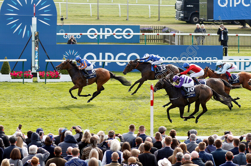 Hermosa-0007 
 HERMOSA (Wayne Lordan) beats LADY KAYA (nearside) in The Qipco 1000 Guineas
Newmarket 5 May 2019 - Pic Steven Cargill / Racingfotos.com