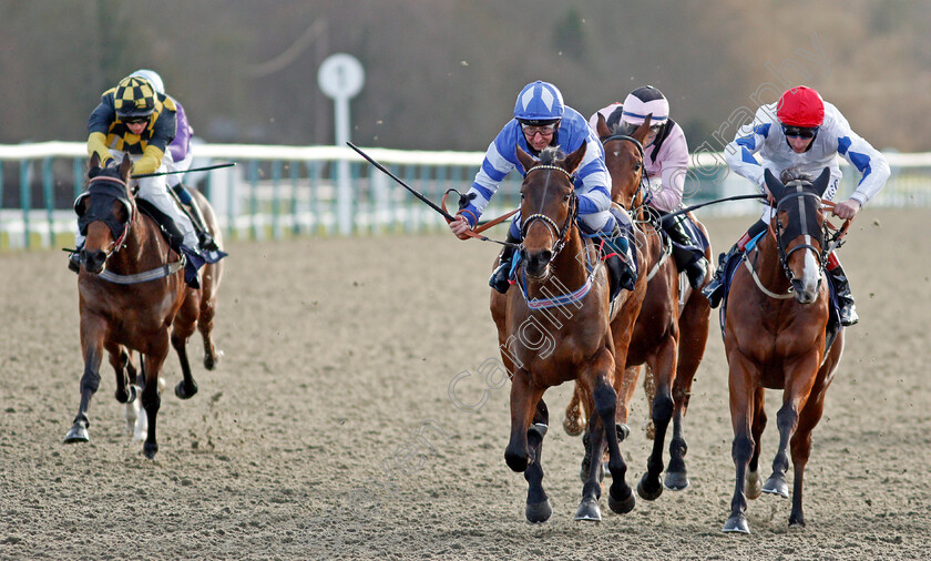 Lucky-Ava-0003 
 LUCKY AVA (centre, Martin Dwyer) beats KINDERDIJK (right) in The Get Your Ladbrokes Daily Odds Boost Handicap
Lingfield 29 Jan 2021 - Pic Steven Cargill / Racingfotos.com