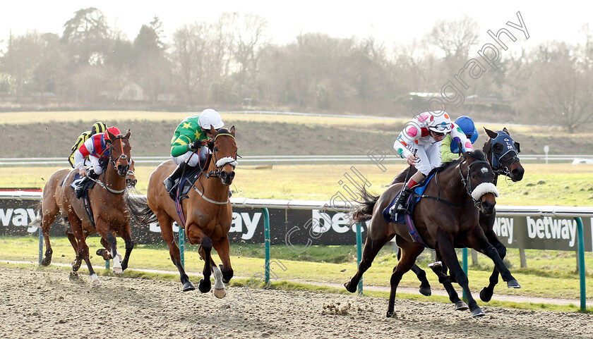 Weloof-0002 
 WELOOF (Adam Kirby) wins The sunracing.co.uk Handicap
Lingfield 18 Jan 2019 - Pic Steven Cargill / Racingfotos.com