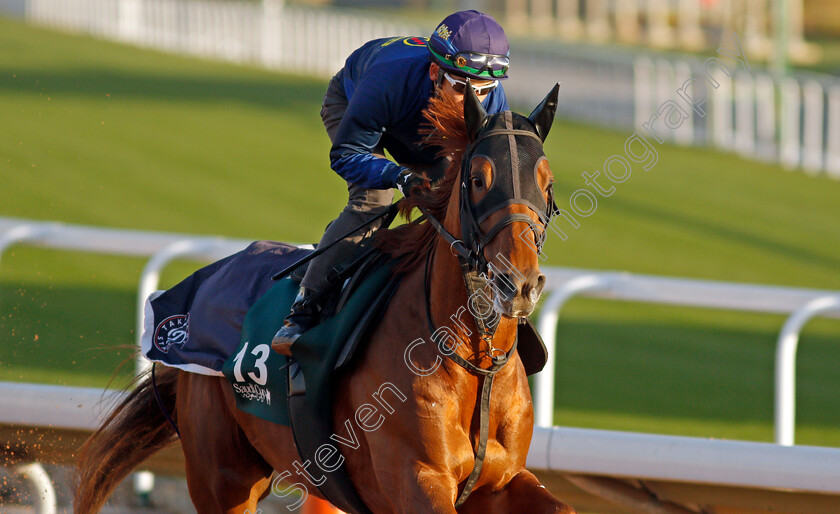 T-O-Keynes-0001 
 T O KEYNES training for The Saudi Cup
King Abdulaziz Racetrack, Riyadh, Saudi Arabia 23 Feb 2022 - Pic Steven Cargill / Racingfotos.com