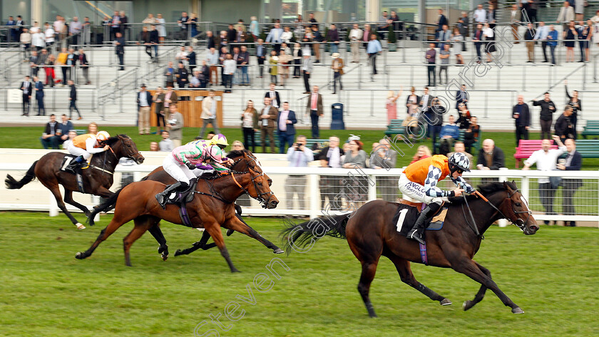 Cliffs-Of-Capri-0003 
 CLIFFS OF CAPRI (Alex Ferguson) wins The Amateur Jockeys Association Handicap
Ascot 5 Oct 2018 - Pic Steven Cargill / Racingfotos.com