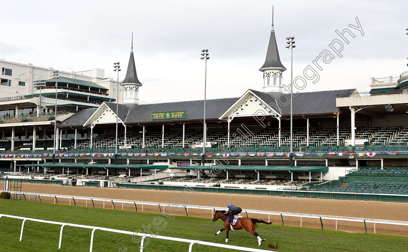 Wild-Illusion-0001 
 WILD ILLUSION exercising ahead of The Breeders Cup Filly & Mare Turf
Churchill Downs USA 31 Oct 2018 - Pic Steven Cargill / Racingfotos.com