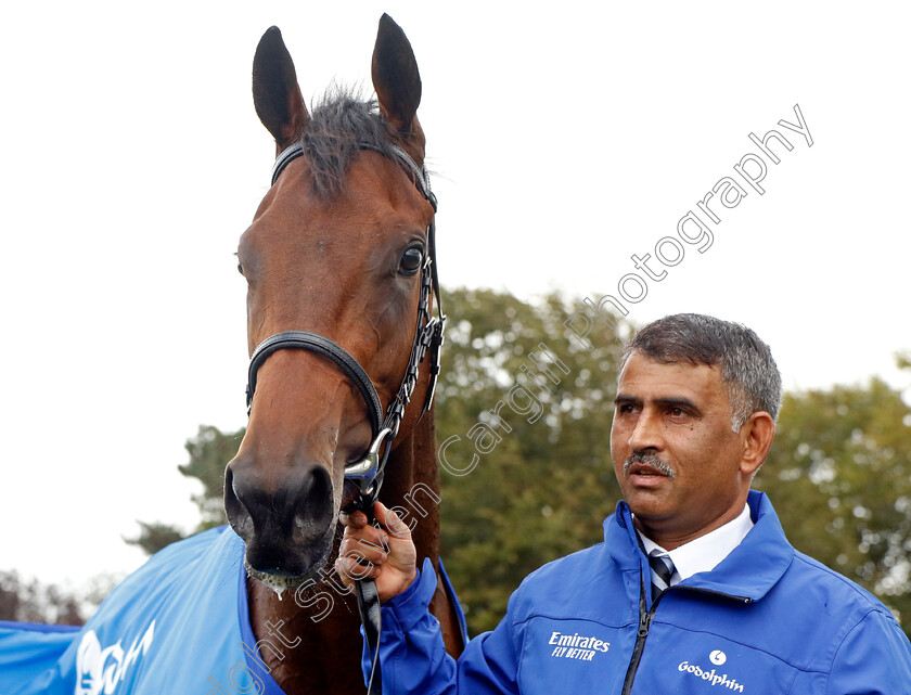 Dance-Sequence-0004 
 DANCE SEQUENCE winner of The Godolphin Lifetime Care Oh So Sharp Stakes
Newmarket 13 Oct 2023 - Pic Steven Cargill / Racingfotos.com