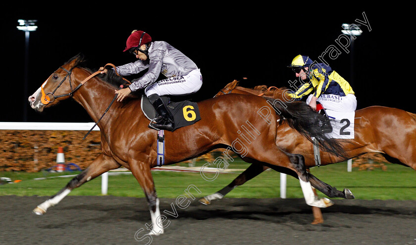 Qaysar-0007 
 QAYSAR (Sean Levey) wins The 32Red Casino EBFstallions.com Novice Stakes Div2 Kempton 22 Nov 2017 - Pic Steven Cargill / Racingfotos.com