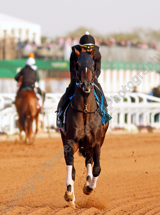 Midnight-Bourbon-0003 
 MIDNIGHT BOURBON training for the Saudi Cup
King Abdulaziz Racetrack, Riyadh, Saudi Arabia 24 Feb 2022 - Pic Steven Cargill / Racingfotos.com