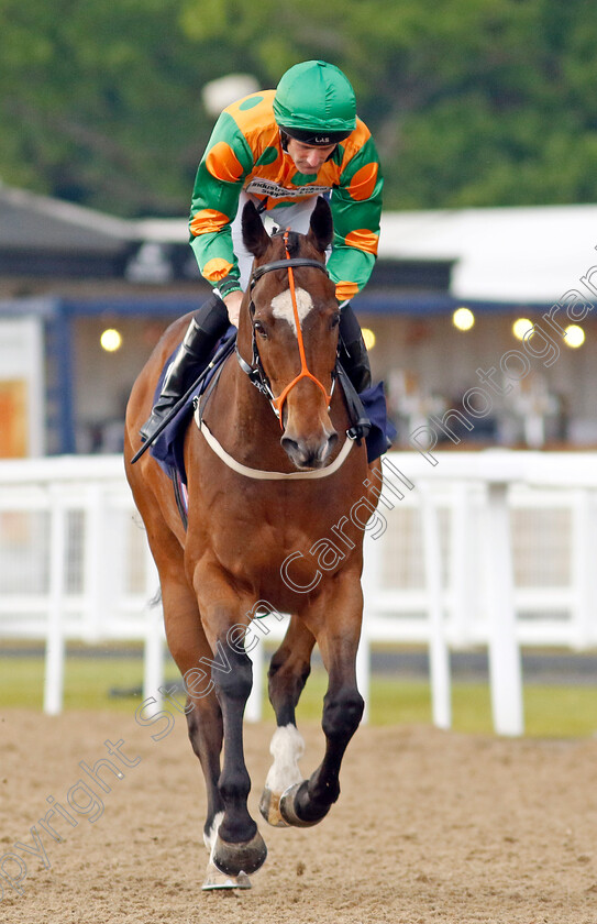 Saluti-0001 
 SALUTI (Paul Mulrennan)
Newcastle 24 Jun 2022 - Pic Steven Cargill / Racingfotos.com