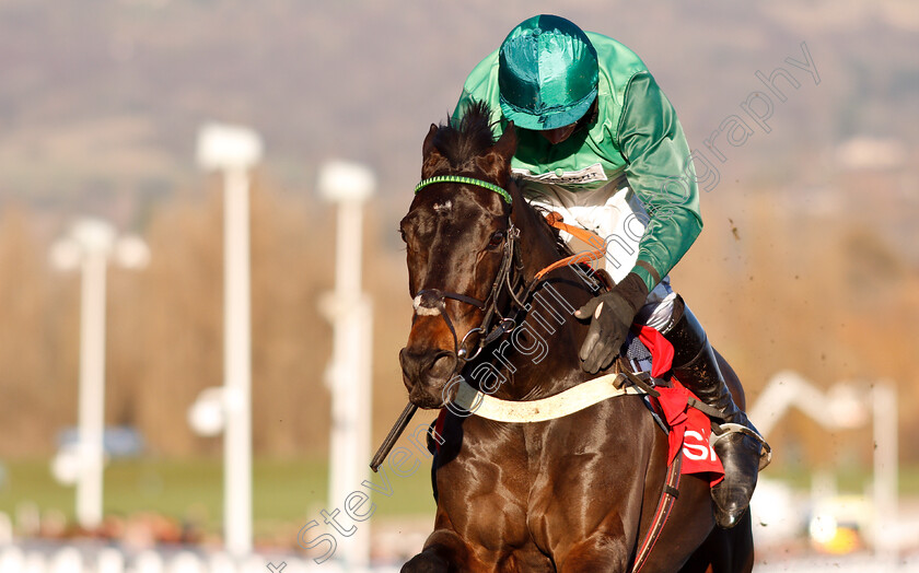 Sceau-Royal-0006 
 SCEAU ROYAL (Daryl Jacob) wins The Shloer Chase
Cheltenham 18 Nov 2018 - Pic Steven Cargill / Racingfotos.com