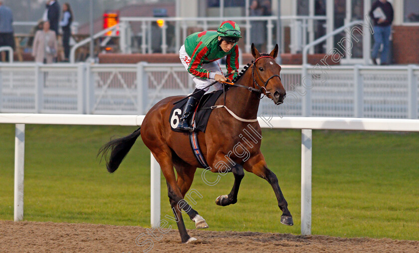 Jackpot-Royale-0001 
 JACKPOT ROYALE (Luke Morris) Chelmsford 26 Sep 2017 - Pic Steven Cargill / Racingfotos.com