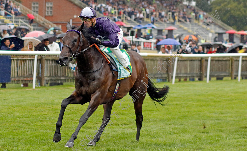 Persian-Dreamer-0003 
 PERSIAN DREAMER (Kevin Stott) wins The Duchess of Cambridge Stakes
Newmarket 14 Jul 2023 - Pic Steven Cargill / Racingfotos.com