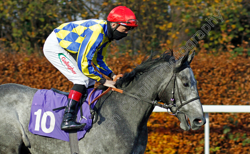 Kath s-Toyboy-0002 
 KATH'S TOYBOY (Shane Kelly)
Kempton 25 Nov 2020 - Pic Steven Cargill / Racingfotos.com