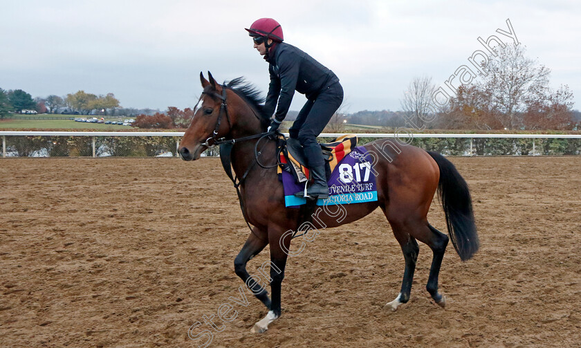 Victoria-Road-0001 
 VICTORIA ROAD training for the Breeders' Cup Juvenile Turf
Keeneland USA 1 Nov 2022 - Pic Steven Cargill / Racingfotos.com