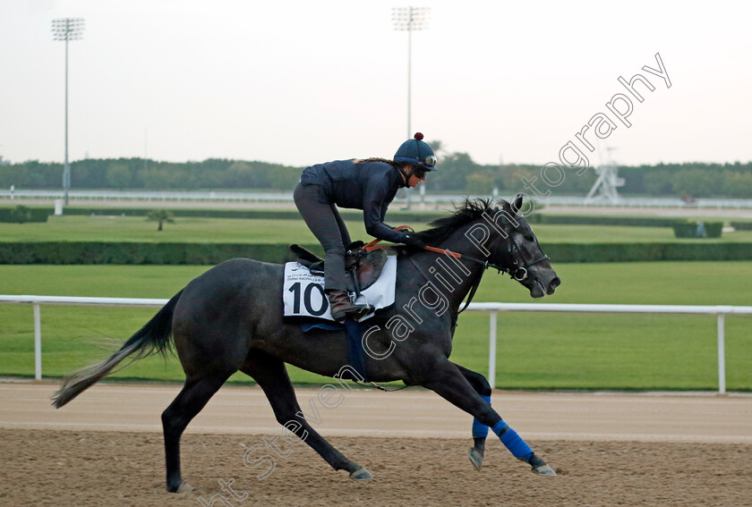 Frost-At-Dawn-0001 
 FROST AT DAWN training at the Dubai Racing Carnival
Meydan 1 Feb 2024 - Pic Steven Cargill / Racingfotos.com