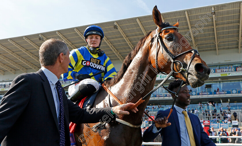 Trueshan-0011 
 TRUESHAN (Hollie Doyle) winner of The Betfred Doncaster Cup
Doncaster 15 Sep 2023 - Pic Steven Cargill / Racingfotos.com