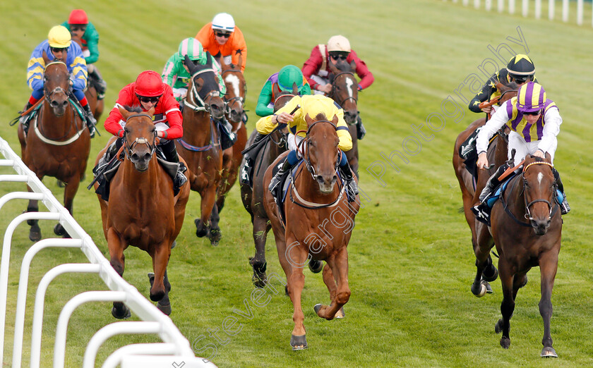 Justanotherbottle-0002 
 JUSTANOTHERBOTTLE (centre, William Buick) beats TINTO (right) and EMBOUR (left) in The Play 4 To Score At Betway Handicap
Sandown 31 Aug 2019 - Pic Steven Cargill / Racingfotos.com