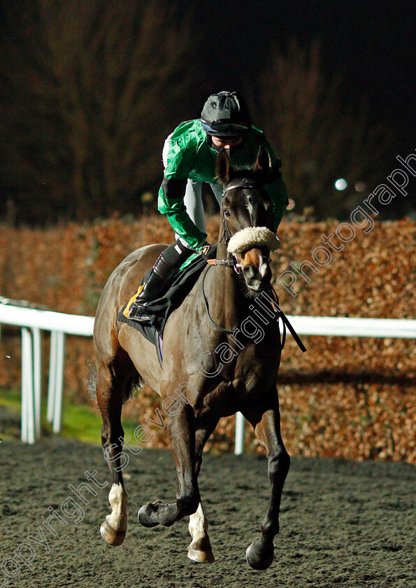 Baby-Steps-0001 
 BABY STEPS (Rossa Ryan)
Kempton 3 Feb 2021 - Pic Steven Cargill / Racingfotos.com