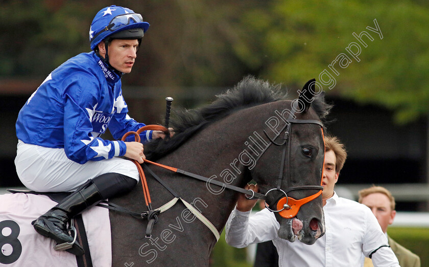 Beshert-0002 
 BESHERT (Richard Kingscote)
Kempton 28 Aug 2024 - Pic Steven Cargill / Racingfotos.com