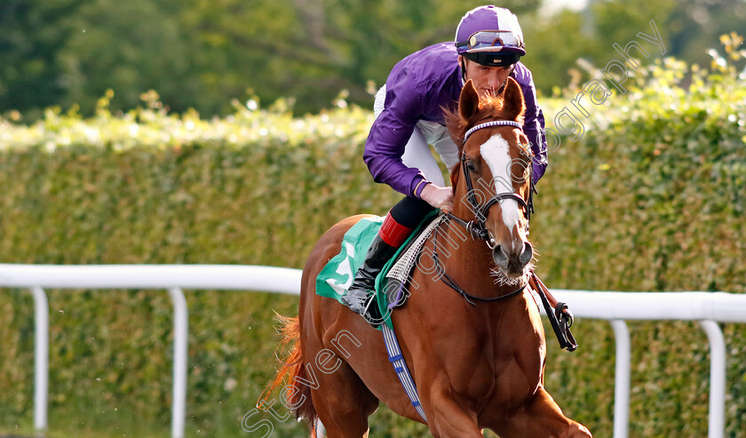 Mystical-Elegance-0001 
 MYSTICAL ELEGANCE (David Egan)
Kempton 12 Jun 2024 - Pic Steven Cargill / Racingfotos.com