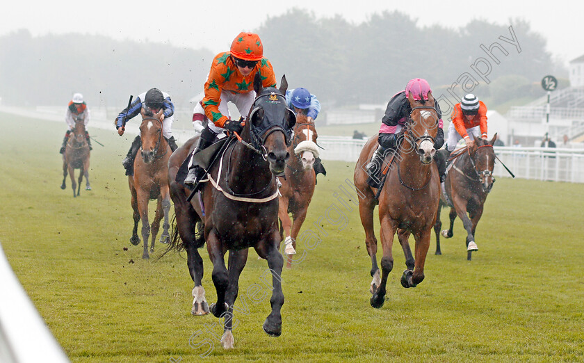 Love-Dreams-0003 
 LOVE DREAMS (left, P J McDonald) beats CHARLES MOLSON (right) in The South Downs Water Handicap Goodwood 24 May 2018 - Pic Steven Cargill / Racingfotos.com