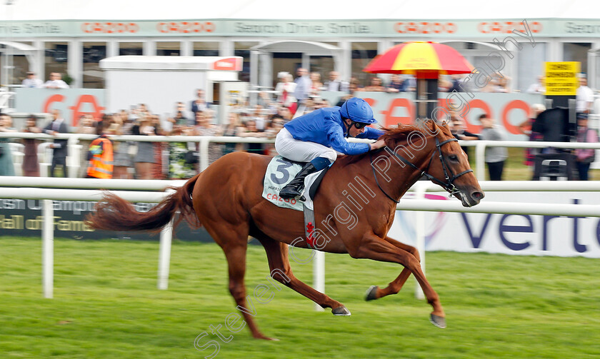 Hurricane-Lane-0010 
 HURRICANE LANE (William Buick) wins The Cazoo St Leger
Doncaster 11 Sep 2021 - Pic Steven Cargill / Racingfotos.com