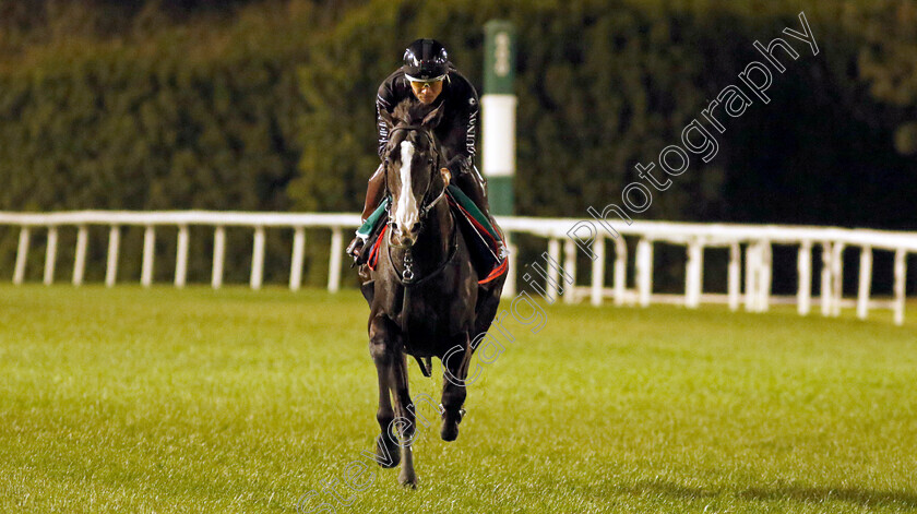 Equinox-0002 
 EQUINOX training for The Sheema Classic
Meydan, Dubai, 22 Mar 2023 - Pic Steven Cargill / Racingfotos.com