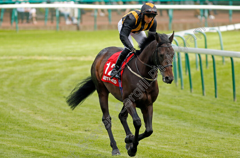 Candonomore-0001 
 CANDONOMORE (Duran Fentiman)
Haydock 25 May 2024 - Pic Steven cargill / Racingfotos.com