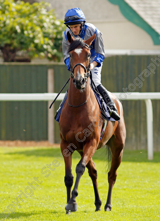 Turner-Girl-0002 
 TURNER GIRL (Ryan Moore)
Yarmouth 16 Sep 2021 - Pic Steven Cargill / Racingfotos.com