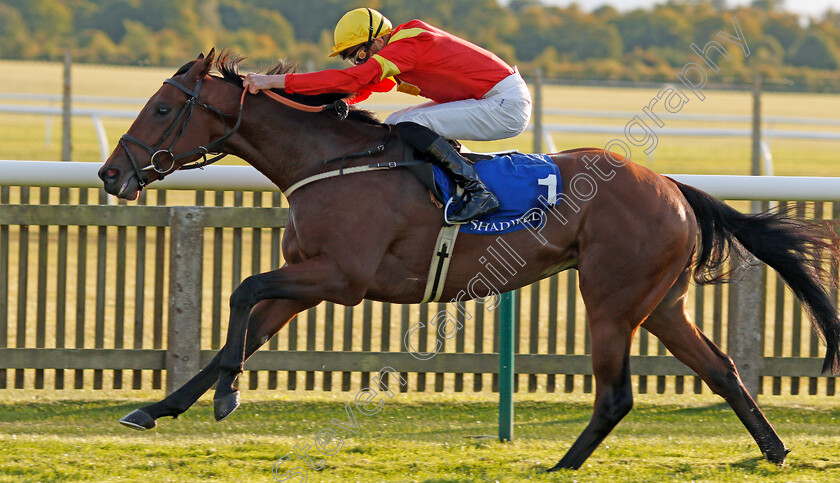 Data-Protection-0002 
 DATA PROTECTION (James Doyle) wins The Shadwell Farm Handicap
Newmarket 27 Sep 2019 - Pic Steven Cargill / Racingfotos.com