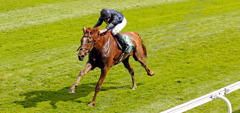 Savethelastdance-0005 
 SAVETHELASTDANCE (Ryan Moore) wins The Weatherbys Digital Solutions Cheshire Oaks
Chester 10 May 2023 - Pic Steven Cargill / Racingfotos.com