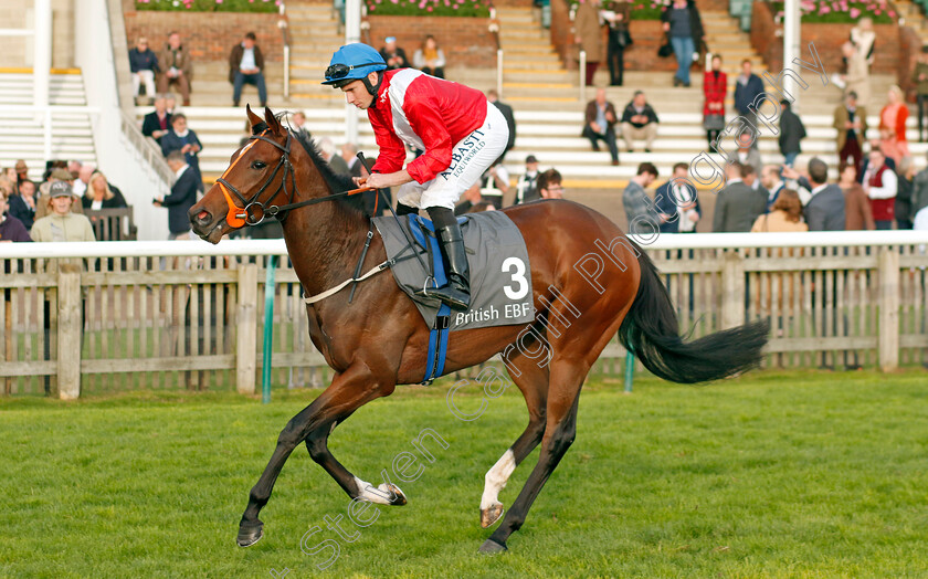 Conservationist-0001 
 CONSERVATIONIST (Ryan Moore)
Newmarket 29 Oct 2022 - Pic Steven Cargill / Racingfotos.com