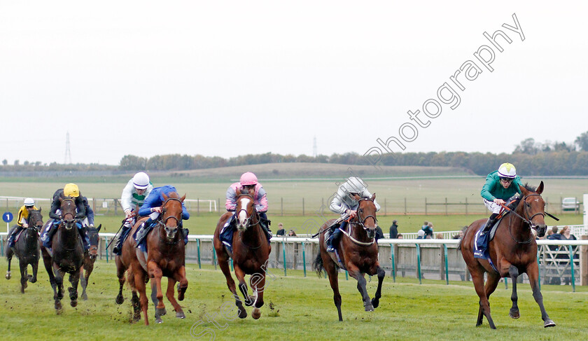 Trefoil-0001 
 TREFOIL (Richard Kingscote) wins The Matchbook EBF Future Stayers Novice Stakes
Newmarket 23 Oct 2019 - Pic Steven Cargill / Racingfotos.com