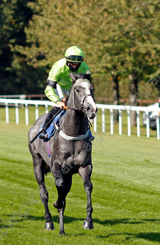 Dancing-Master-0001 
 DANCING MASTER (Nicola Currie) 
Salisbury 1 Oct 2020 - Pic Steven Cargill / Racingfotos.com