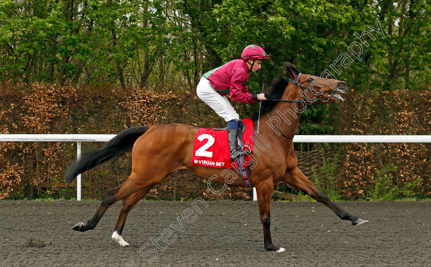 Adelaise-0004 
 ADELAISE (William Buick) winner of The Virgin Bet Daily Price Boosts Snowdrop Fillies Stakes
Kempton 6 Apr 2024 - Pic Steven Cargill / Racingfotos.com