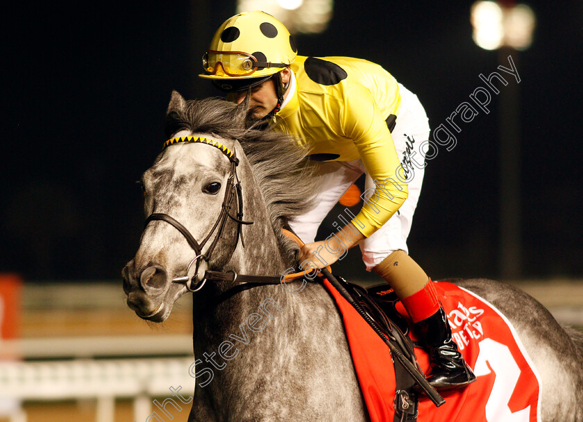 Defoe-0003 
 DEFOE (Andrea Atzeni) 
Meydan 7 Mar 2020 - Pic Steven Cargill / Racingfotos.com