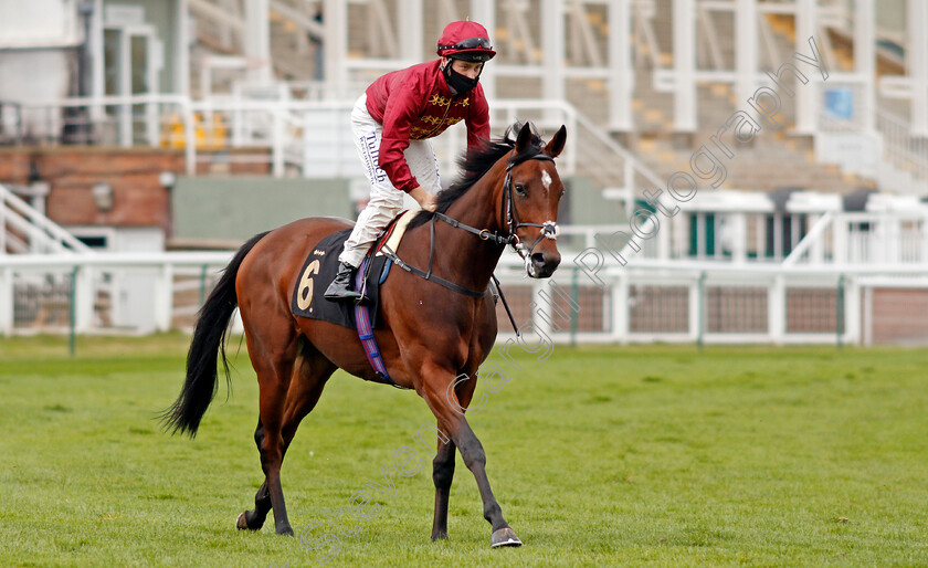 Ocean-Road-0001 
 OCEAN ROAD (Cieren Fallon)
Nottingham 14 Oct 2020 - Pic Steven Cargill / Racingfotos.com