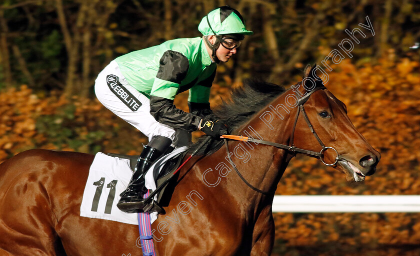 Sold-The-Dream-0001 
 SOLD THE DREAM (William Cox)
Kempton 13 Dec 2023 - Pic Steven Cargill / Racingfotos.com