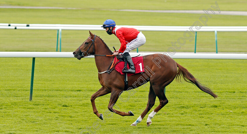 Amasova-0001 
 AMASOVA (Clifford Lee)
Haydock 4 Sep 2020 - Pic Steven Cargill / Racingfotos.com