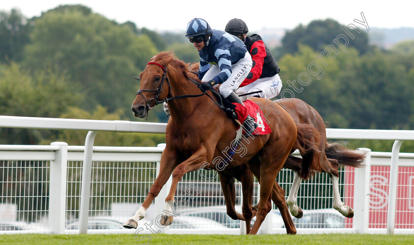 My-Boy-Sepoy-0001 
 MY BOY SEPOY (Serena Brotherton) wins The Slug And Lettuce 2-4-1 Cocktails Amateur Riders Handicap
Sandown 8 Aug 2019 - Pic Steven Cargill / Racingfotos.com